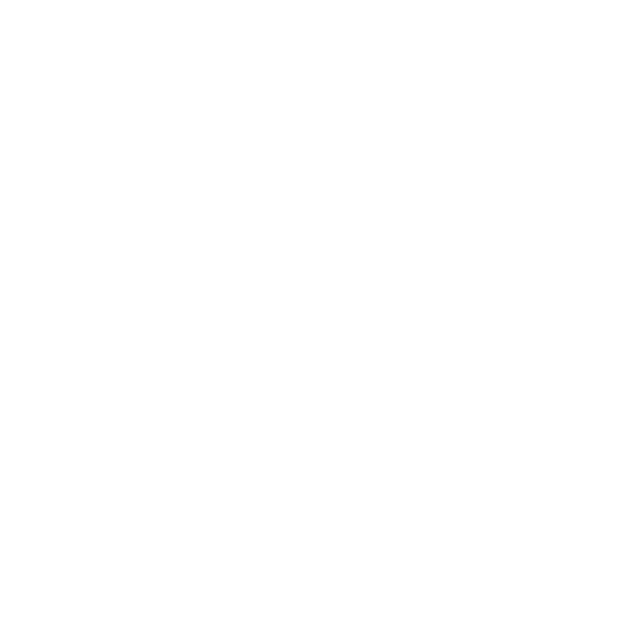 Volunteer lee s foundation